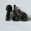 Pan Head Cross with Extra Gasket Small Screws